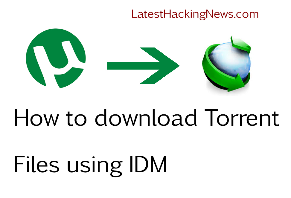 torrent to idm more than 1gb video