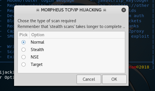 Morpheus LAN Scan choices