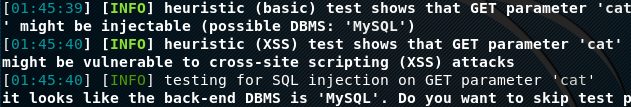 sqlmap results