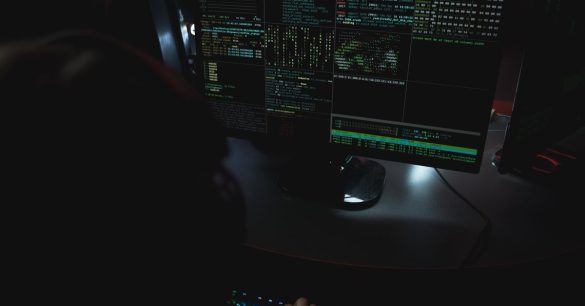 Nmap scan output in terminal showing open ports and service versions for nmap for beginners